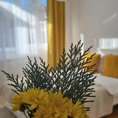 Mv Central Apartment & Garage - Self Check-In Timisoara Ngoại thất bức ảnh