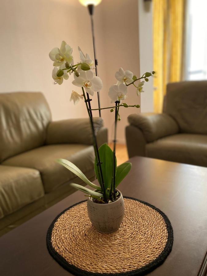 Mv Central Apartment & Garage - Self Check-In Timisoara Ngoại thất bức ảnh