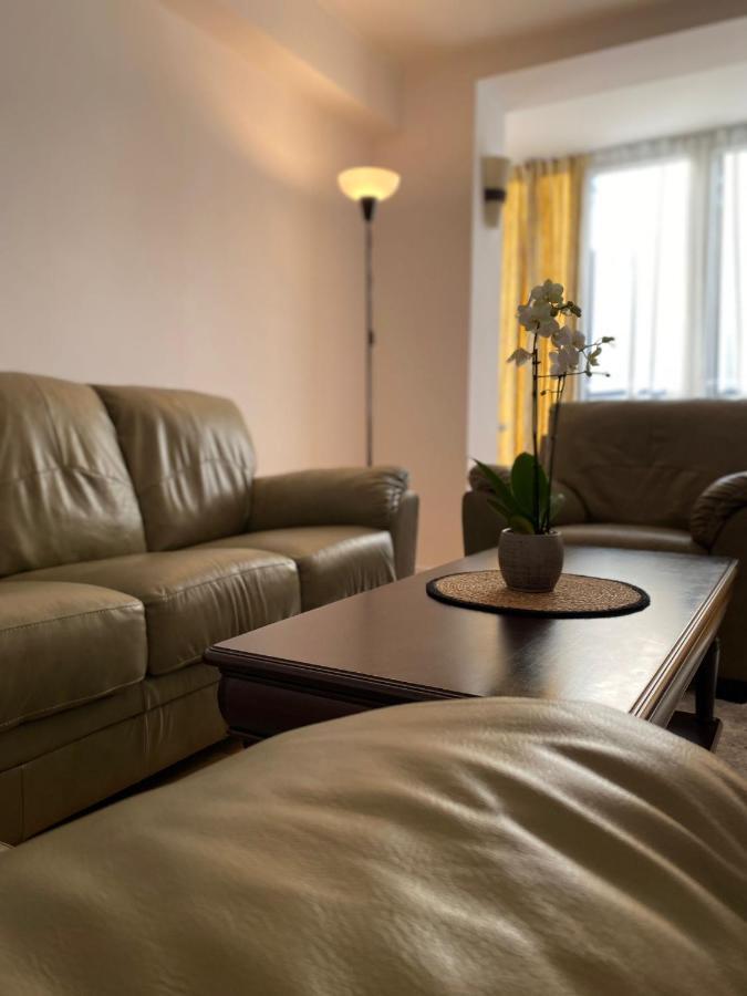Mv Central Apartment & Garage - Self Check-In Timisoara Ngoại thất bức ảnh