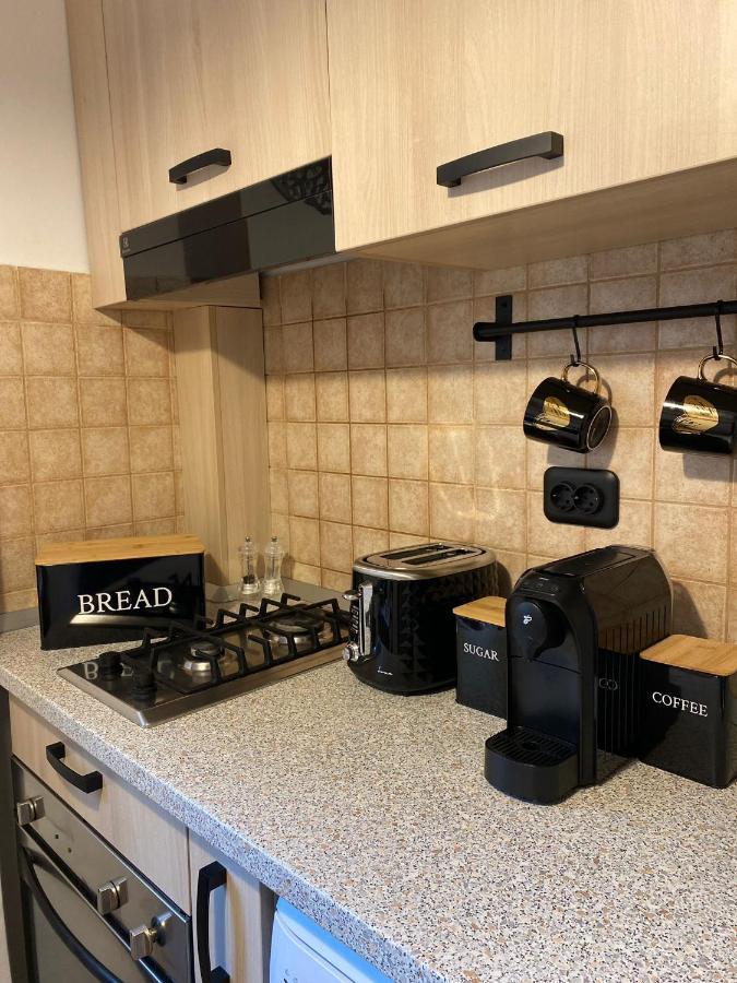 Mv Central Apartment & Garage - Self Check-In Timisoara Ngoại thất bức ảnh